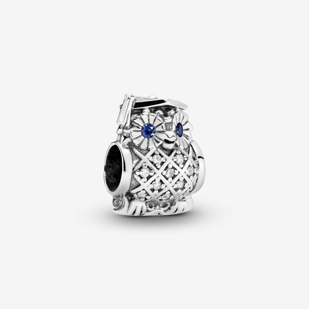 Graduation owl pandora charm